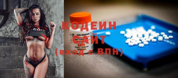 СК Гусь-Хрустальный