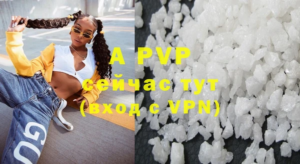 СК Гусь-Хрустальный