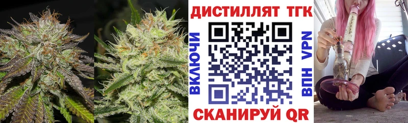 Купить где  Нижнекамск  ТГК концентрат 